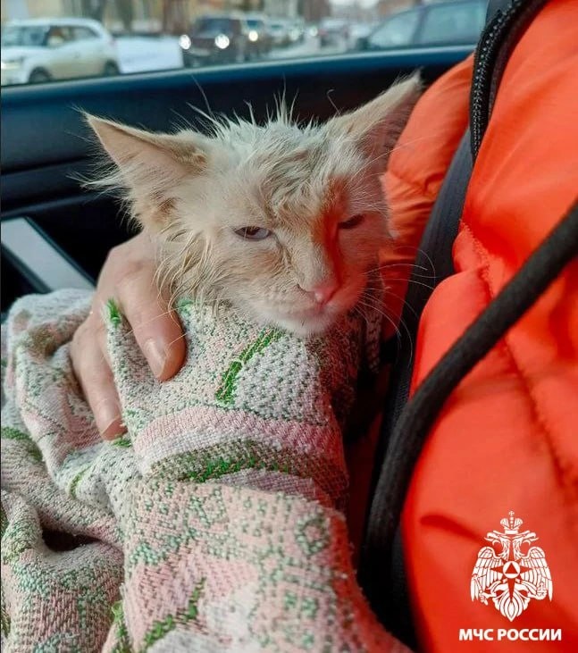    Фото: МЧС Кузбасса