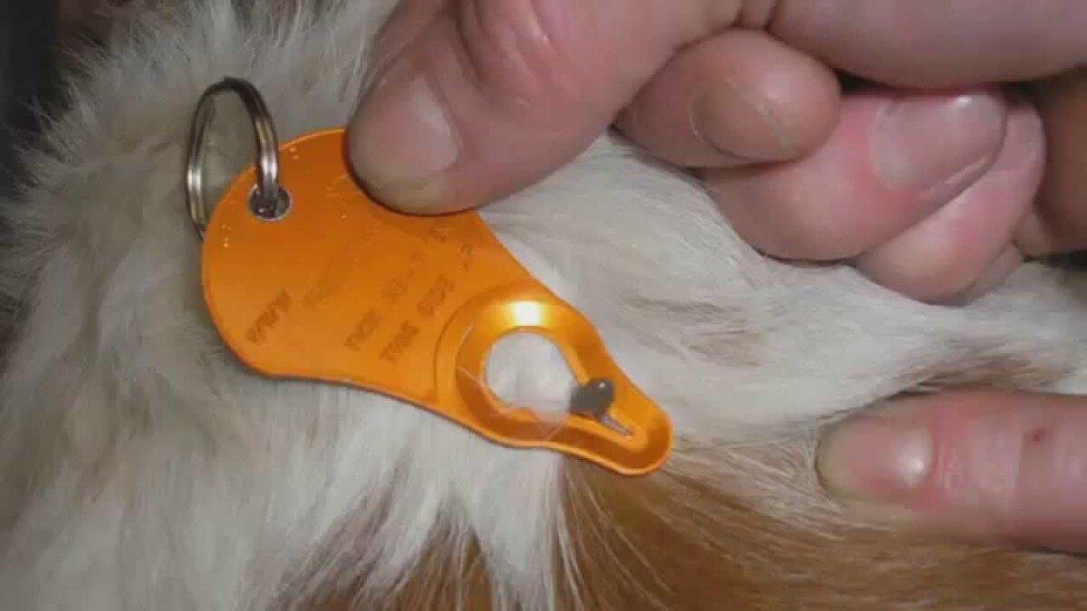 Фотография из интернета