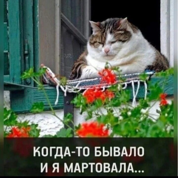 один в один про меня )))