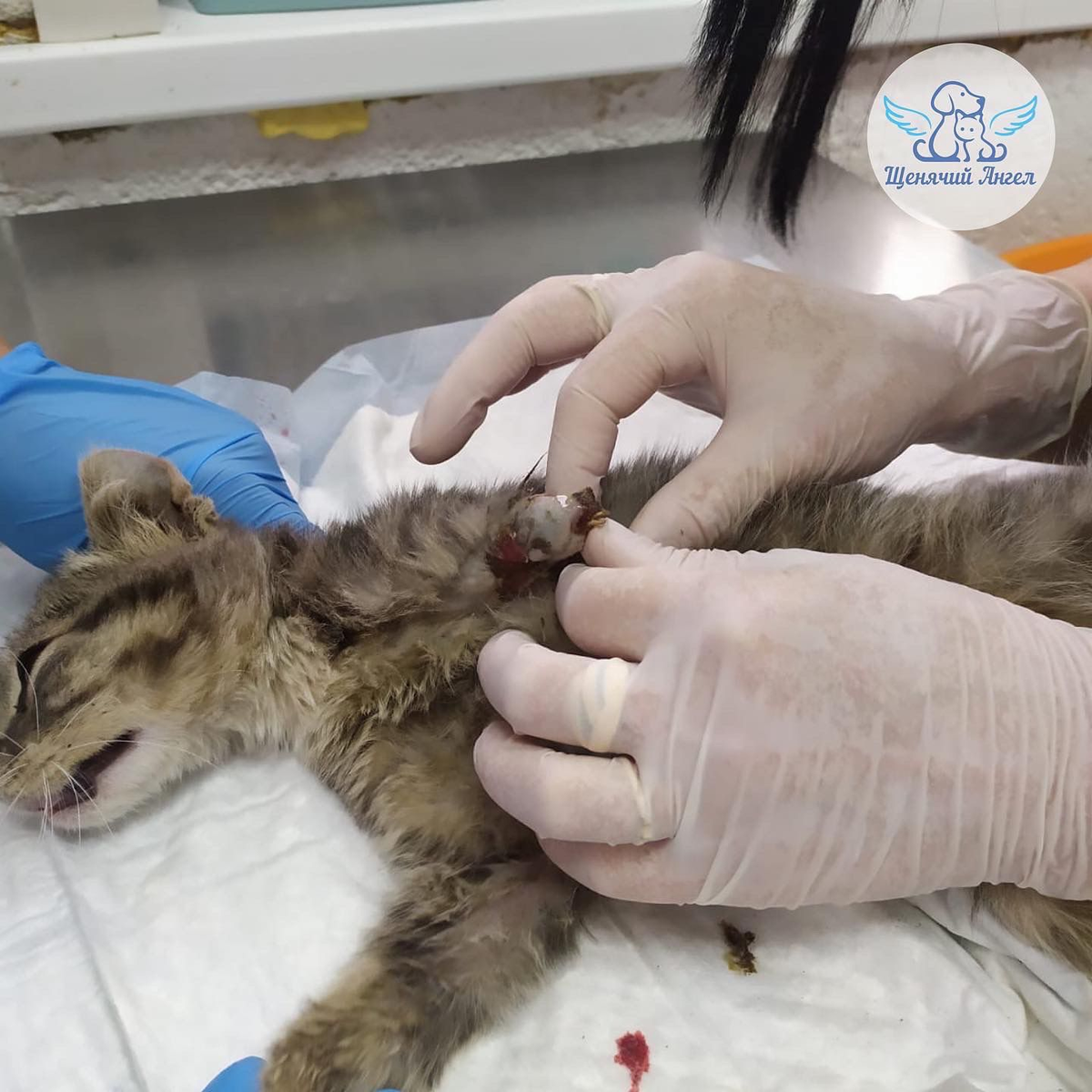 Малышка оказалась настоящим бойцом и стойко перенесла все процедуры