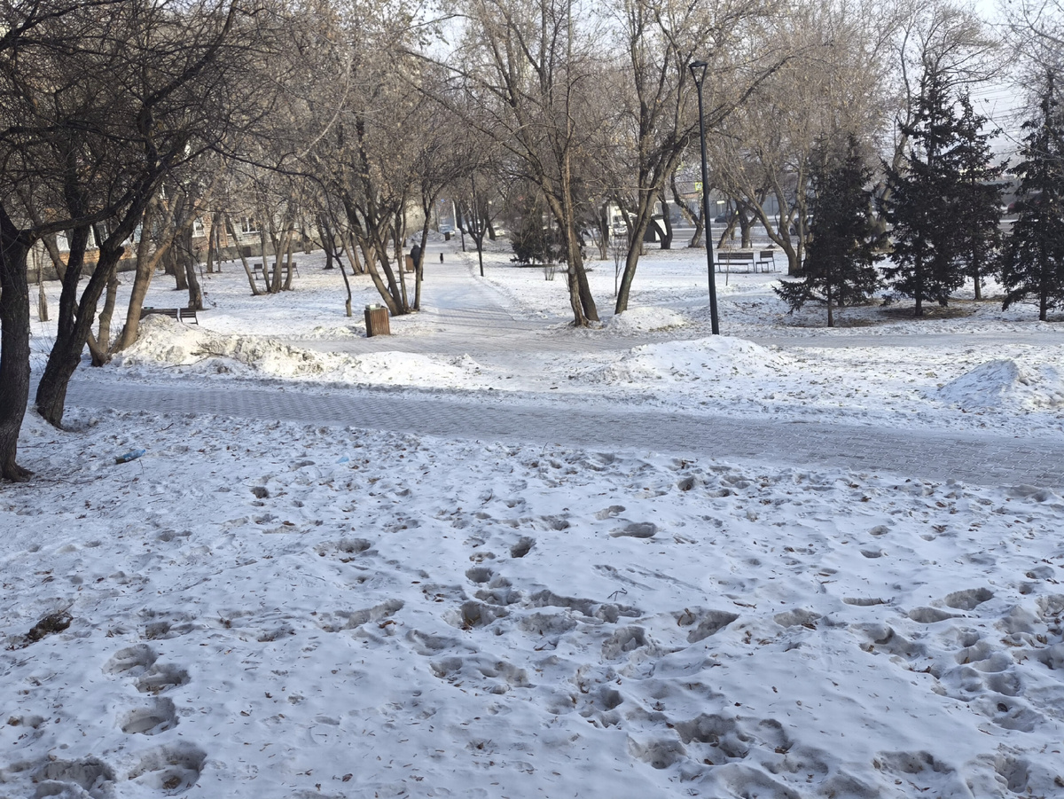 Вид из окна. 1 марта 2026 года.