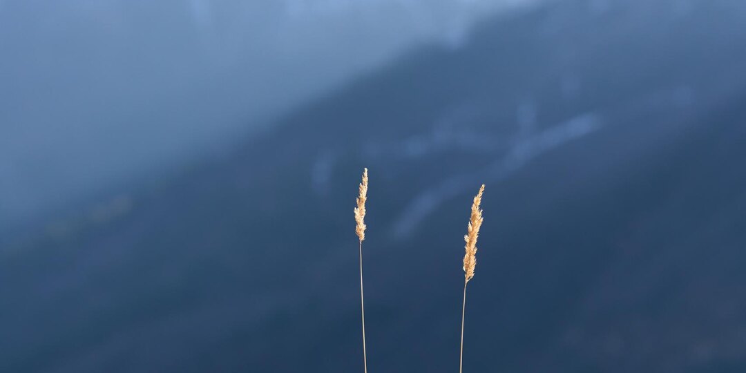 Первый день весны