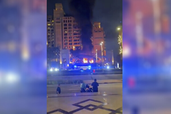 Telegram-канал «Vavia's»  📷