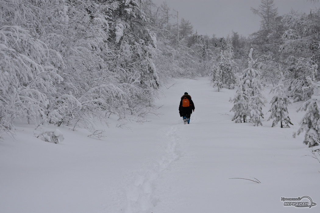    Фото Гертруда Тиунова © ИА «Уральский меридиан»