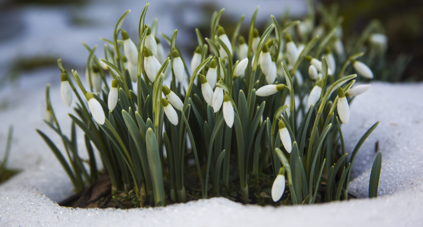    Изображение от wirestock на Freepik