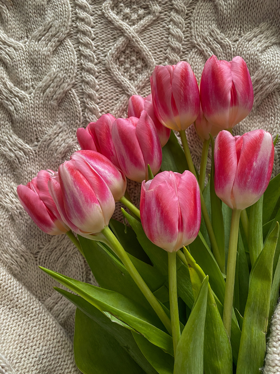 Фото автора 💐