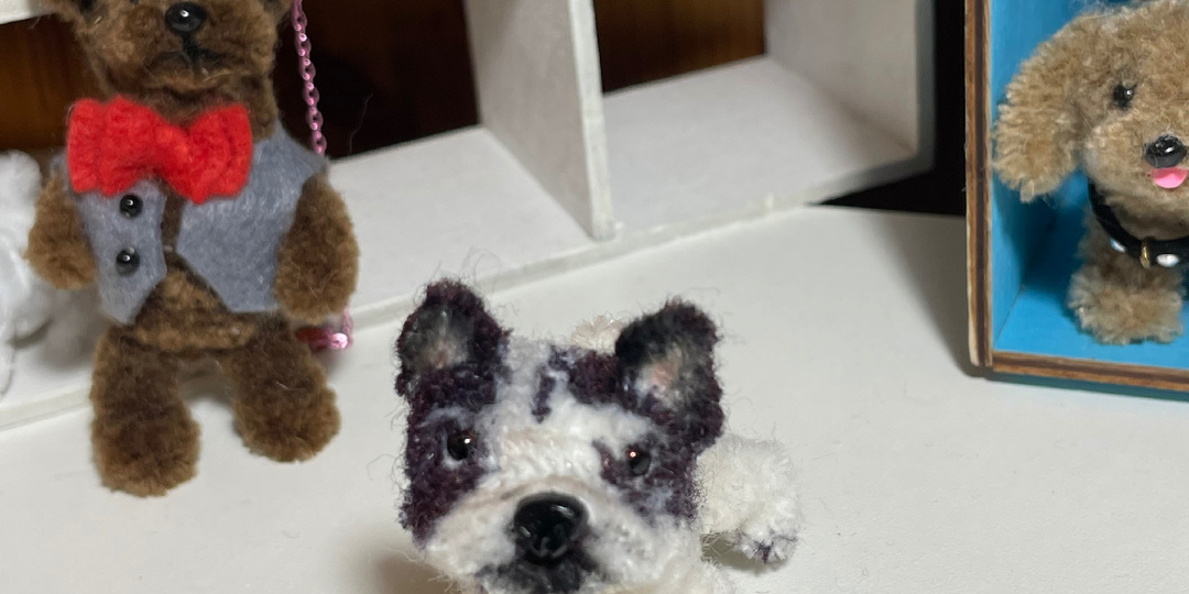 Французский бульдог. Мастер-класс