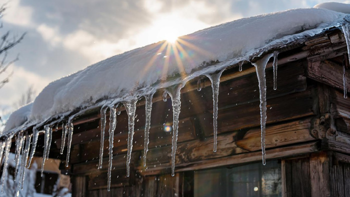    Фото создано при помощи ИИ