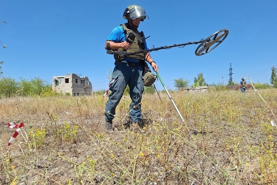    В ДНР разминировали шесть тысяч гектар сельхозземель в 2025 году. Фото (архив): МЧС России по ДНР