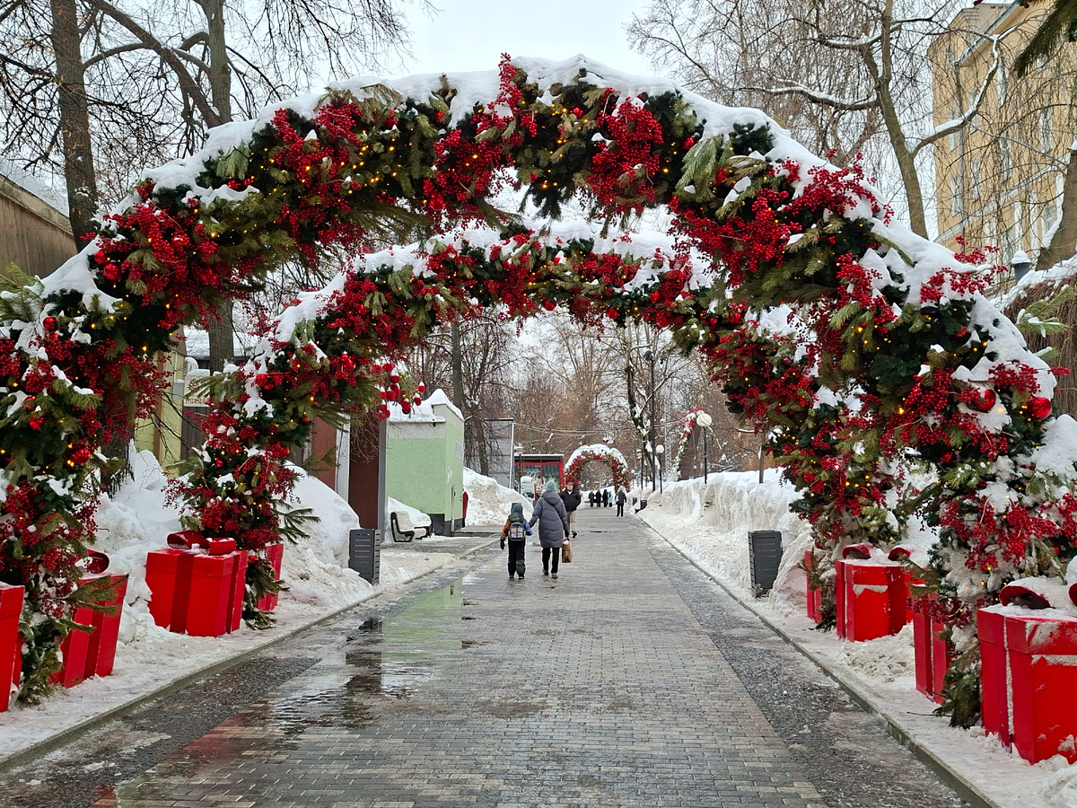 фото автора  сад имени Баумана