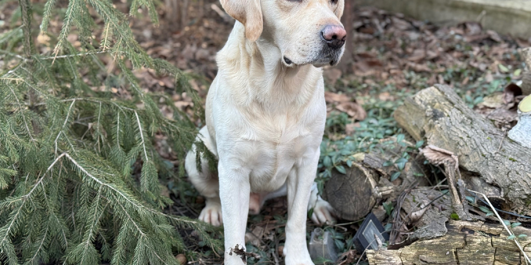 Первый день весны…
