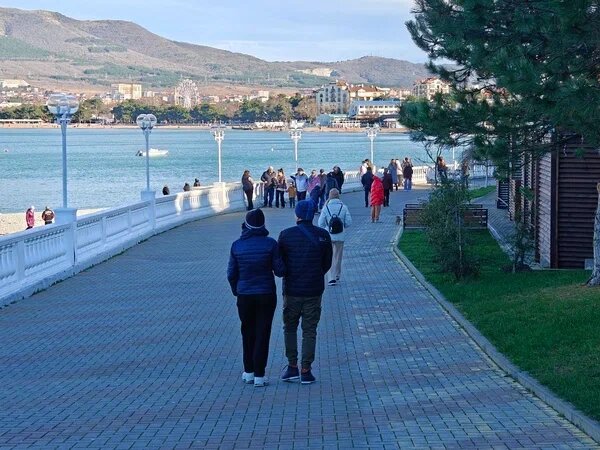    Фото: Юрий Серебренников/BFM Кубань