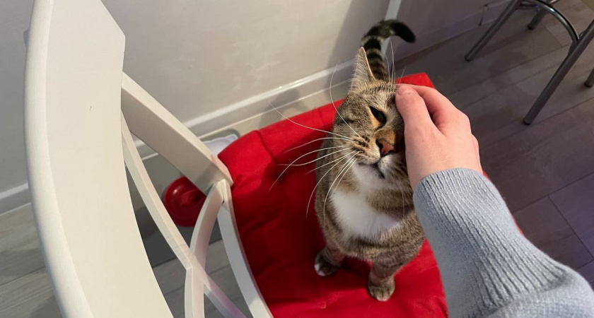    Автор фото - Анна Ефимова