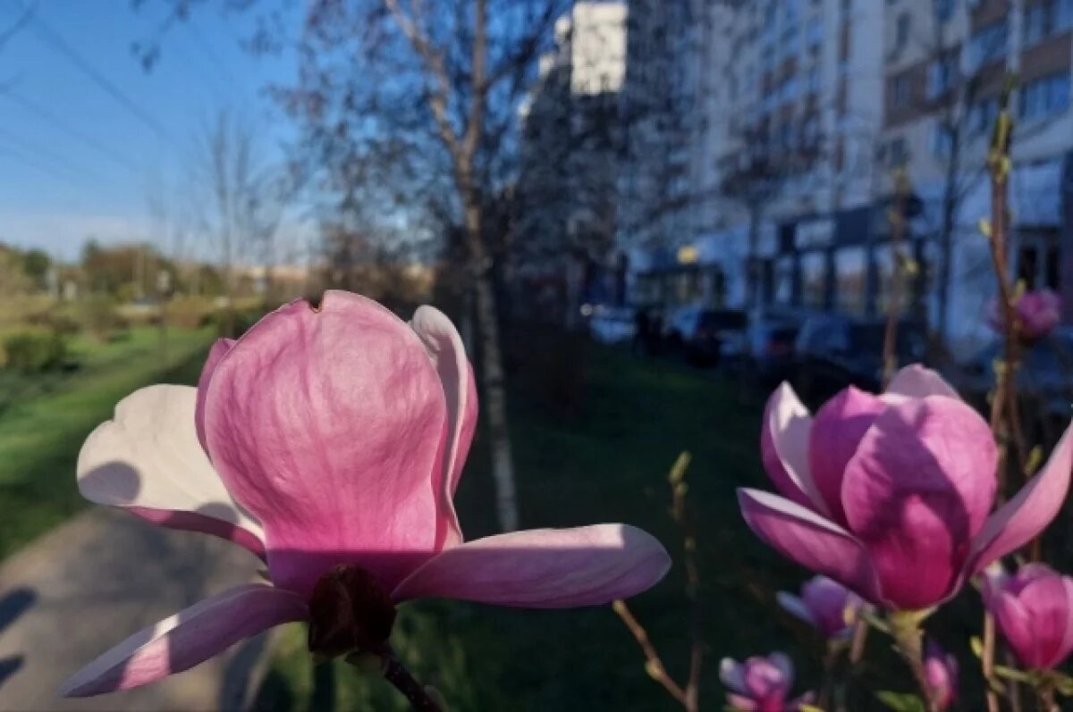    В Краснодарском крае продолжается потепление