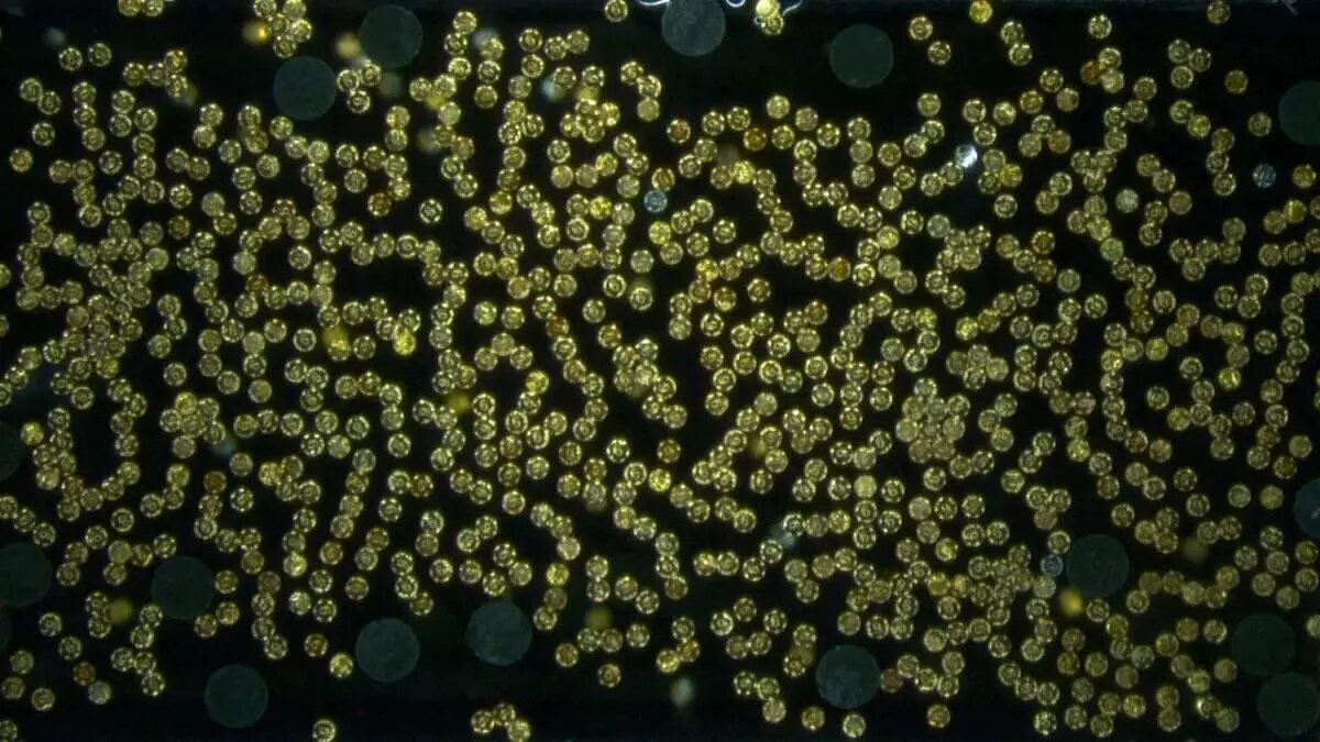    Фото: naked-science.ru Богдан Жуков