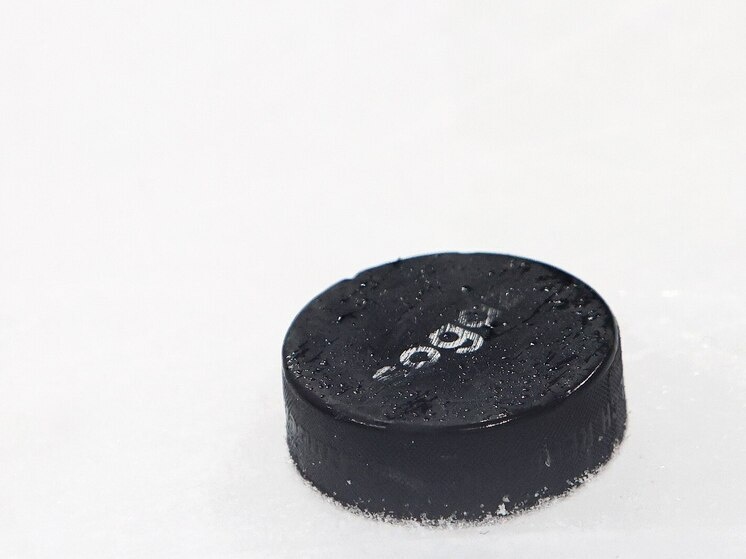     СКА провёл 60 матчей и набрал 69 очков. Фото: архив МК в Питере