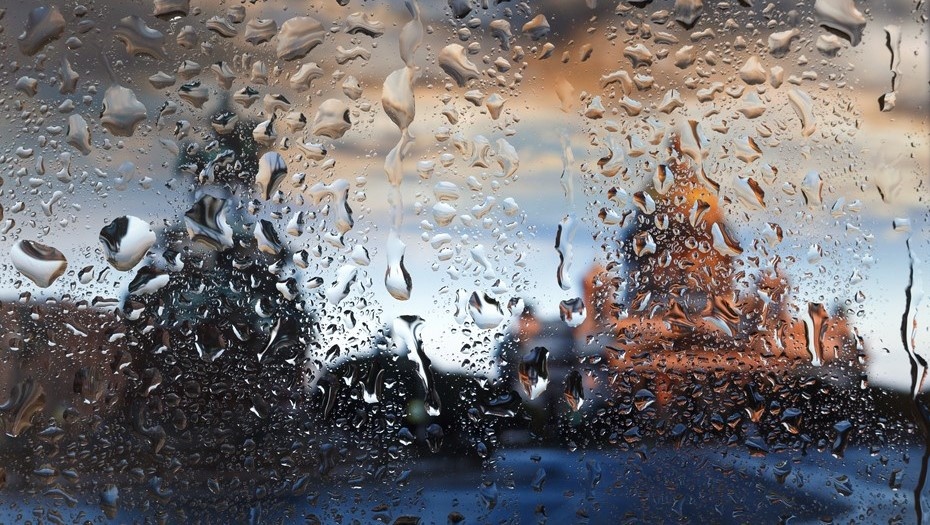    Автор фото: Roman Sibiryakov/Shutterstock/FOTODOM