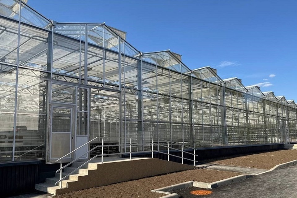    Подмосковные строители обновили ботанический сад в Донецке. Фото: УТНКР