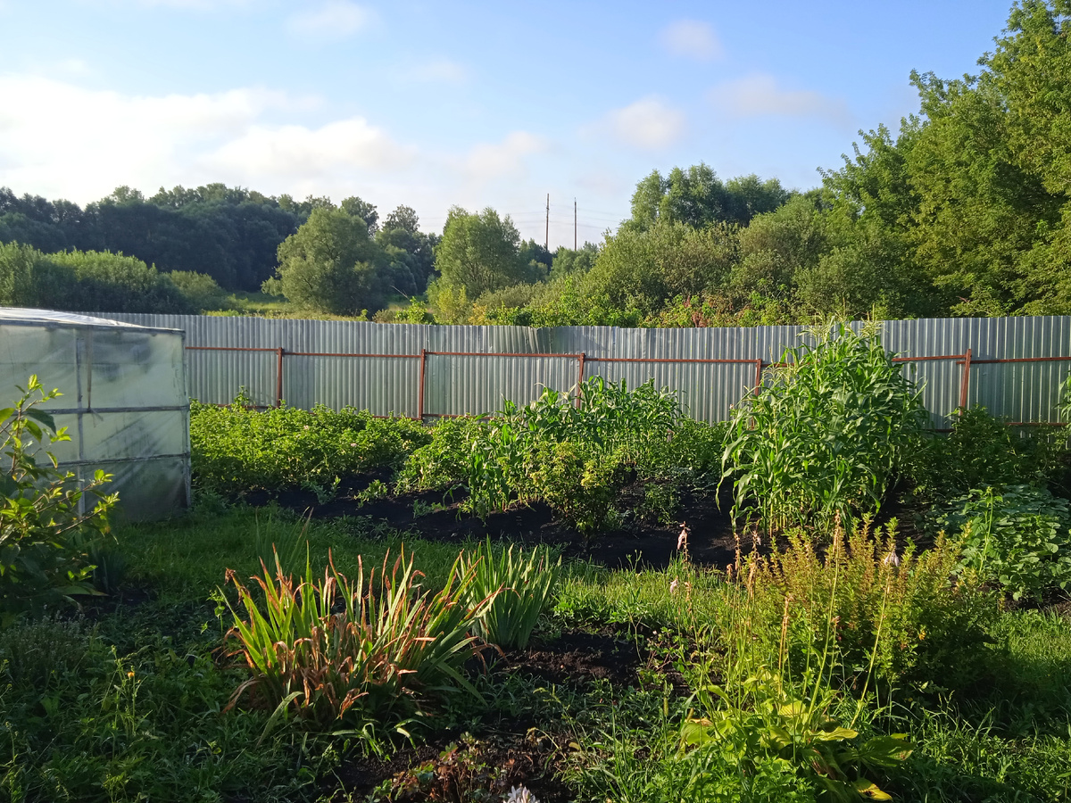 Садится СОЛНЫШКО!!!