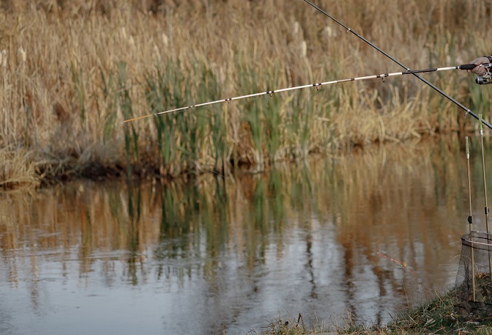    Фото сайта https://www.freepik.com Татьяна Пшеничная