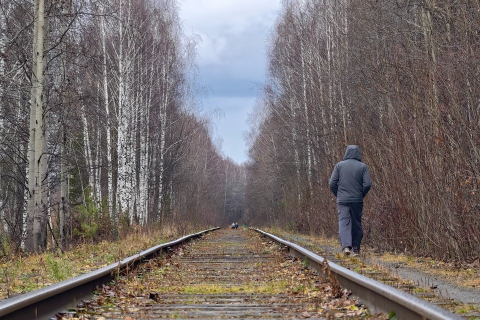    Житель Цимлянского района ответит за незаконную вырубку. Алексей БУЛАТОВ