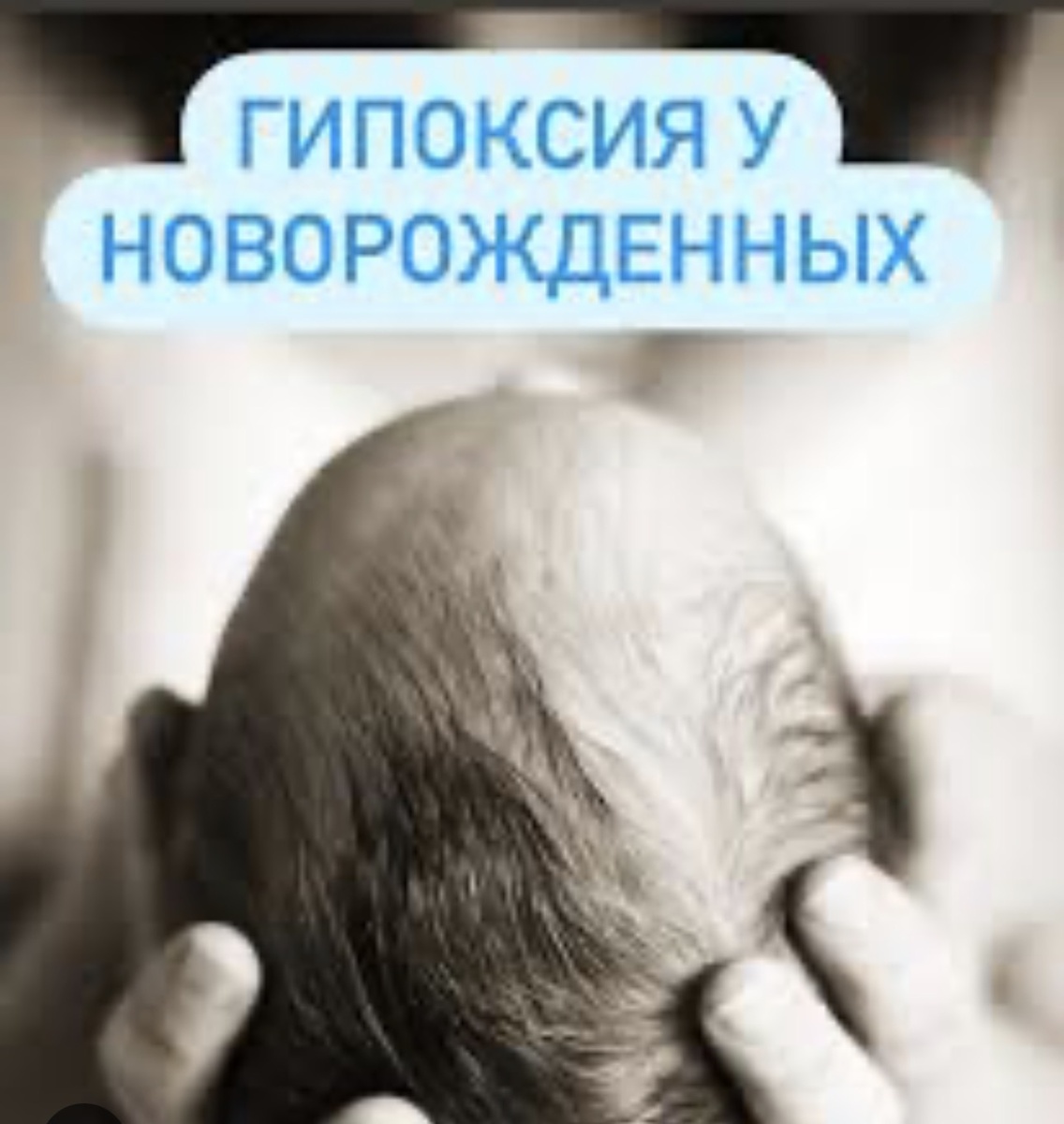 Фото взято из открытых источников интернета 