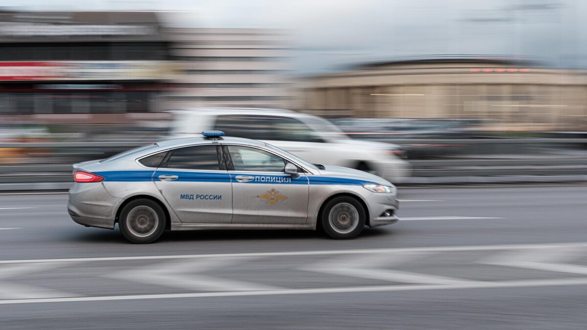    Фото: ИЗВЕСТИЯ/Сергей Виноградов