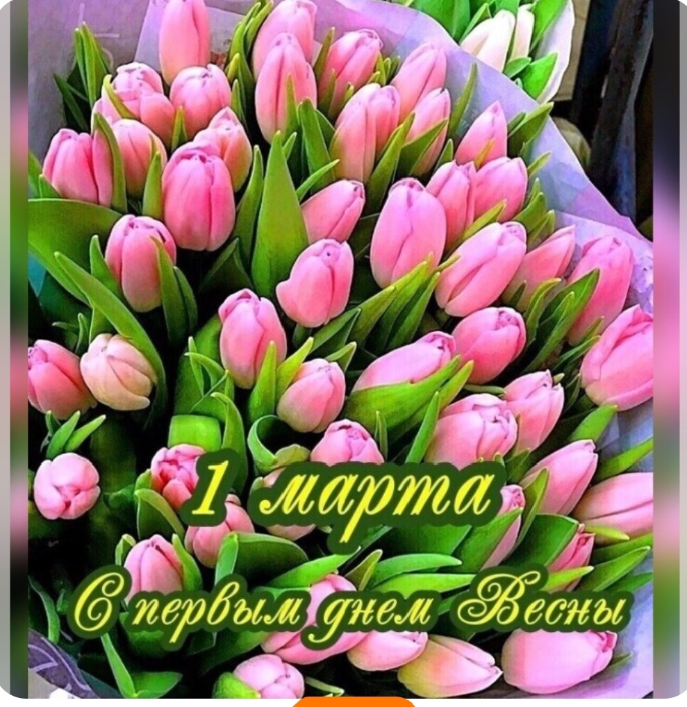 Фото из свободного доступа интернета