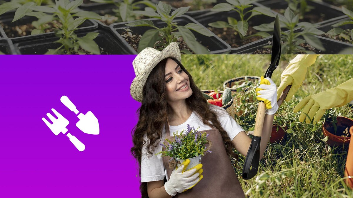 Коллаж 78.ru: freepik.com, pngwing.com