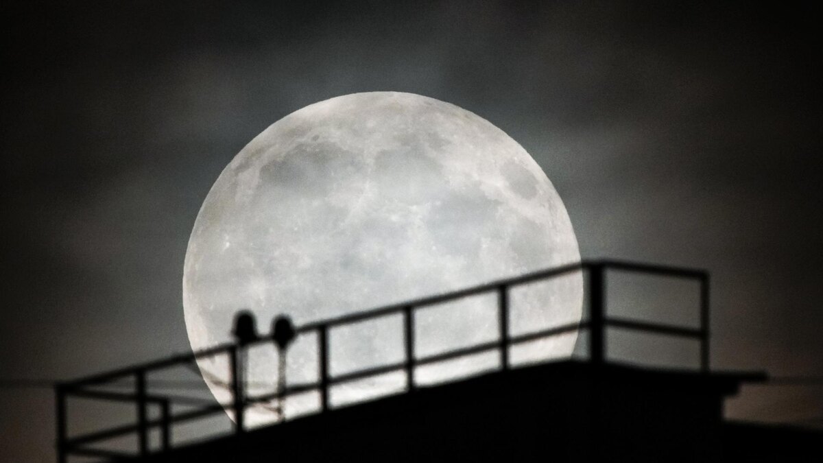 Фото: ИЗВЕСТИЯ/Сергей Лантюхов