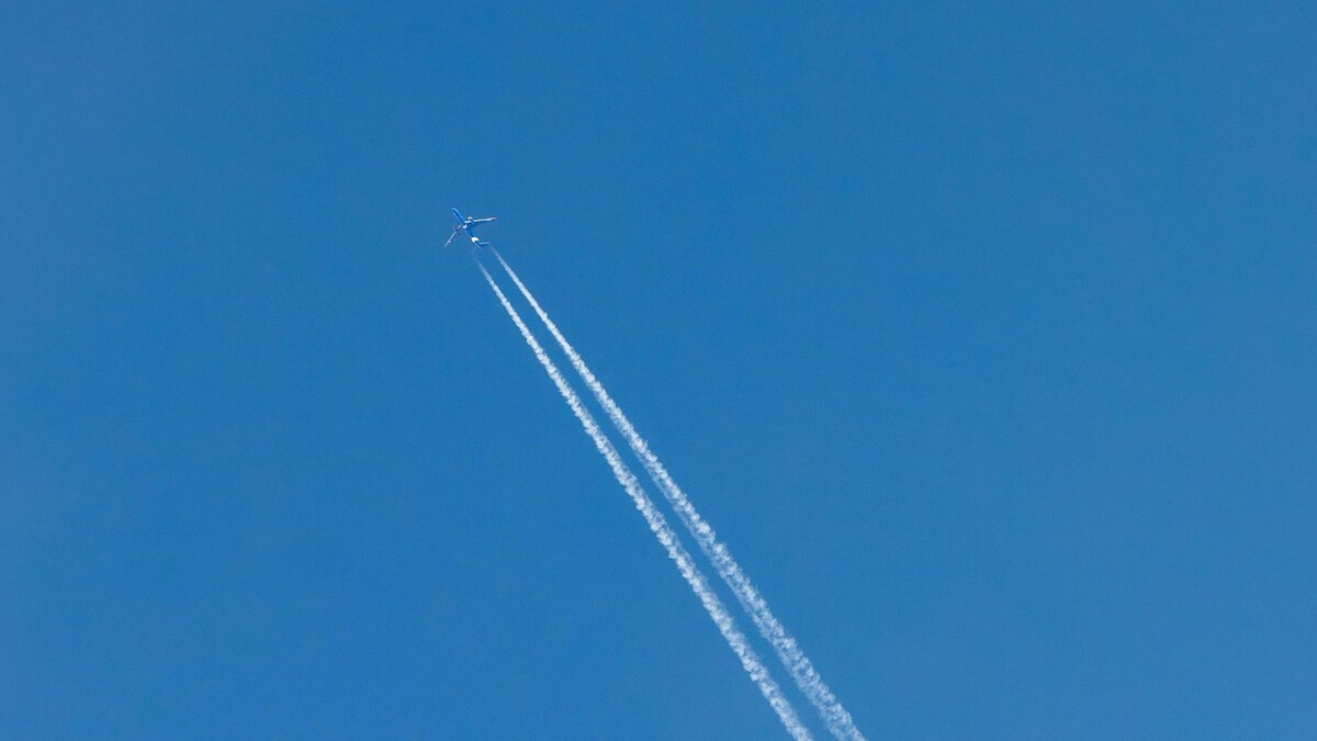    Фото: Федор Воронов/«Ямал-Медиа»