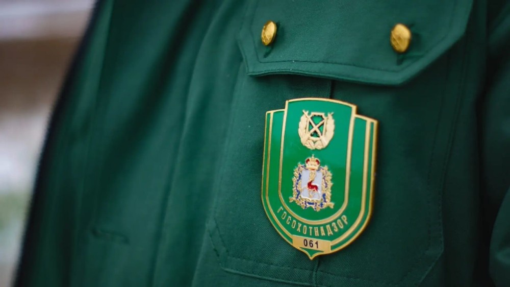    В Нижегородской области завершился зимний сезон охоты