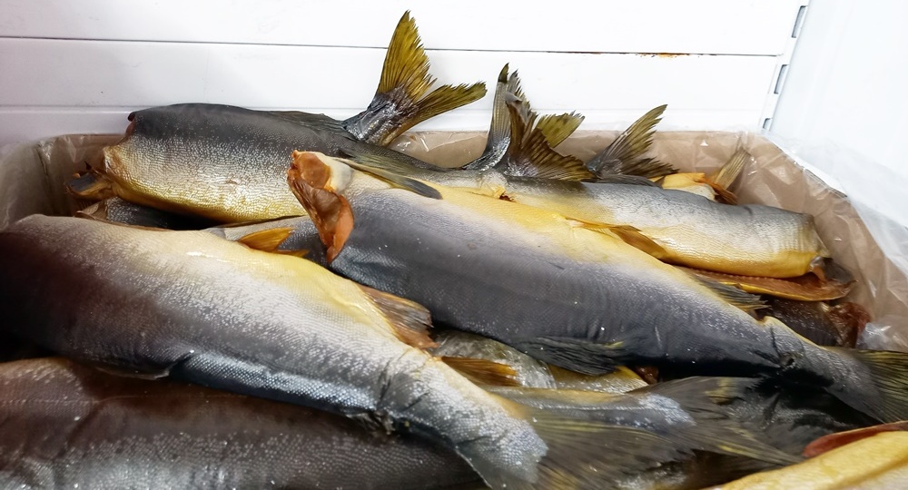 Какие новинки можно купить в магазине Светофор на этой неделе. Что особенно раскупалось покупателями в этот раз