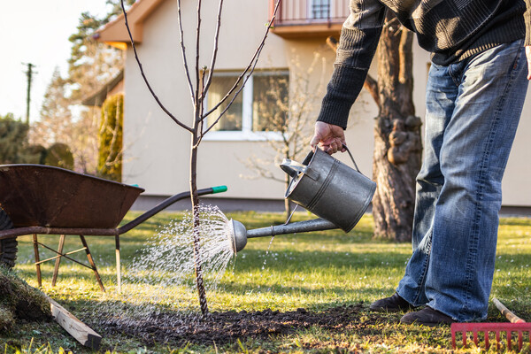 encierro/Shutterstock/FOTODOM   📷