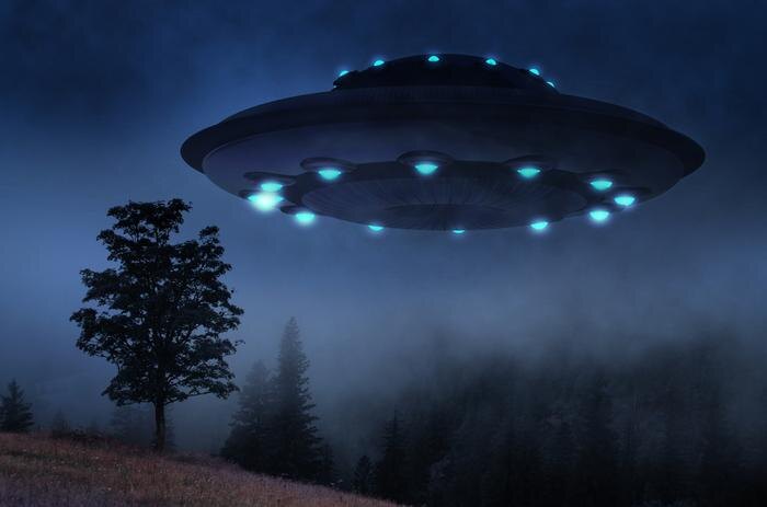 Обложка © Shutterstock / FOTODOM / TSViPhoto