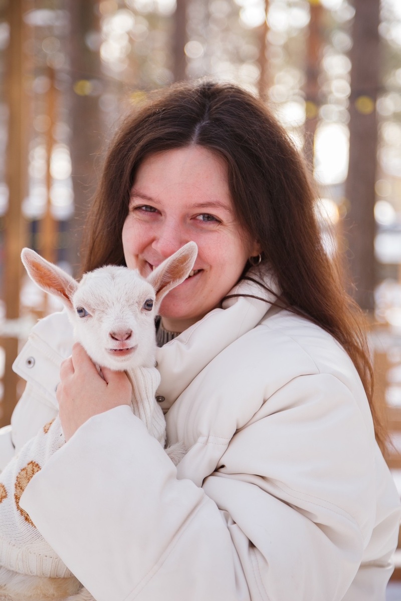    Зефирка. Фото: Парк альпак ПАЧА МАМА Тюмень.