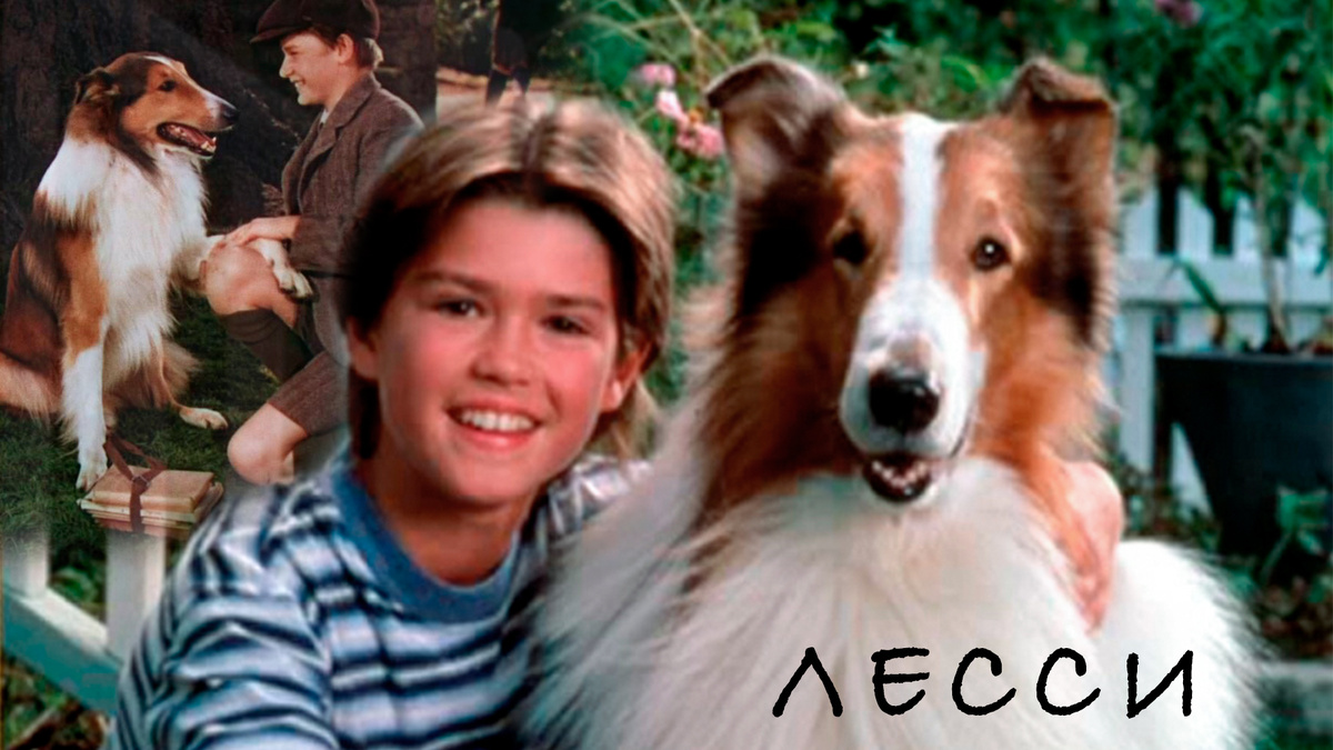 Фото с просторов интернета