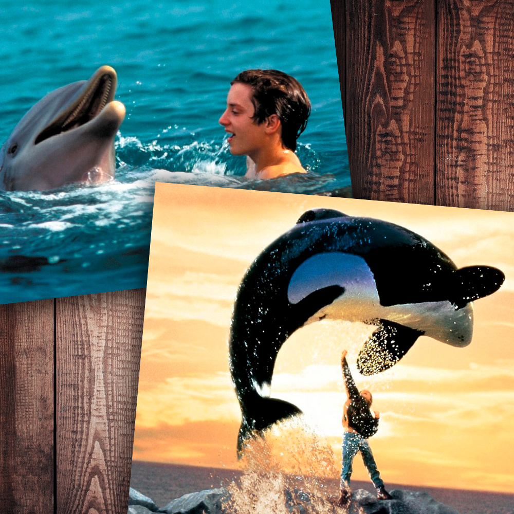 Фото с просторов интернета