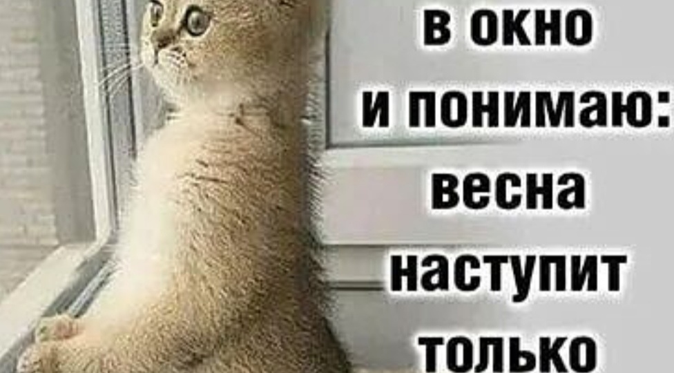 С первым днём Весны!