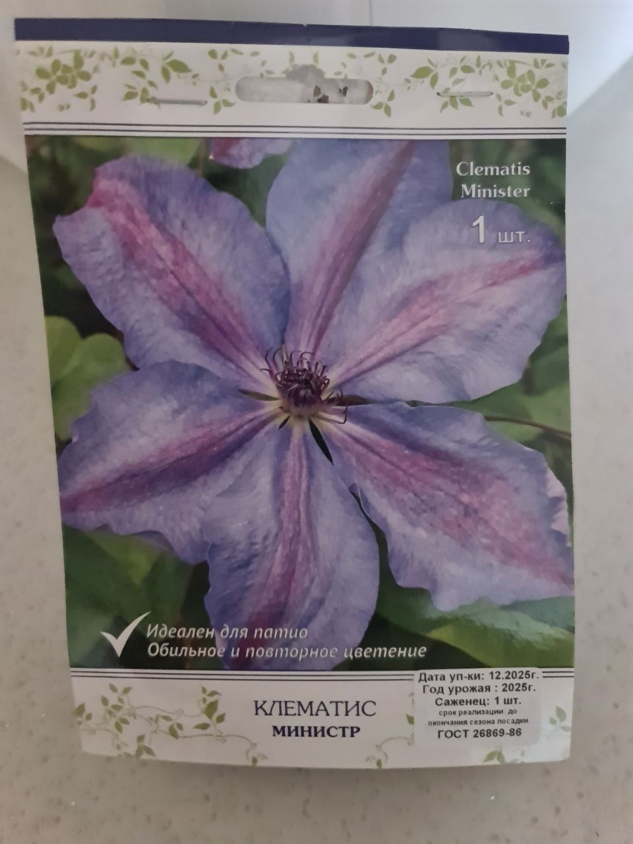 2 группа обрезки. Головная боль с укрытием на зиму мне обеспечена