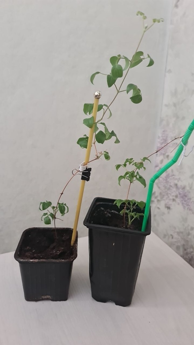 Как думаете, читатели, будет с них толк?