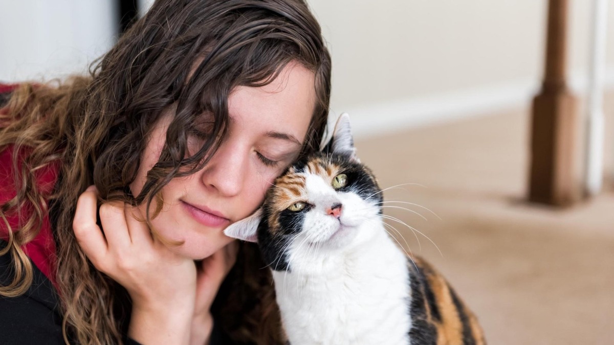    Онлайн-покупки зоотоваров становятся привычным делом для каждого пятого владельца животного в Дальневосточном регионе