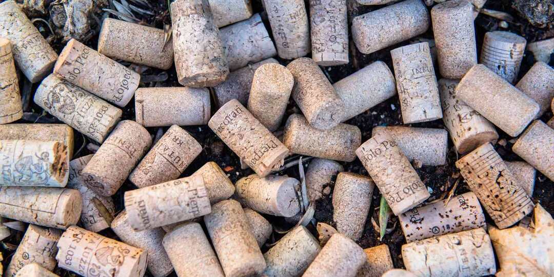 Зачем собирать винные пробки: неожиданная польза для сада и дачи