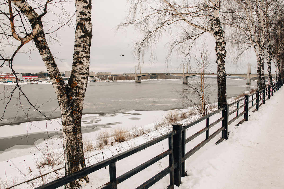 Фото: Кристина Белякова/РИА Верхневолжье