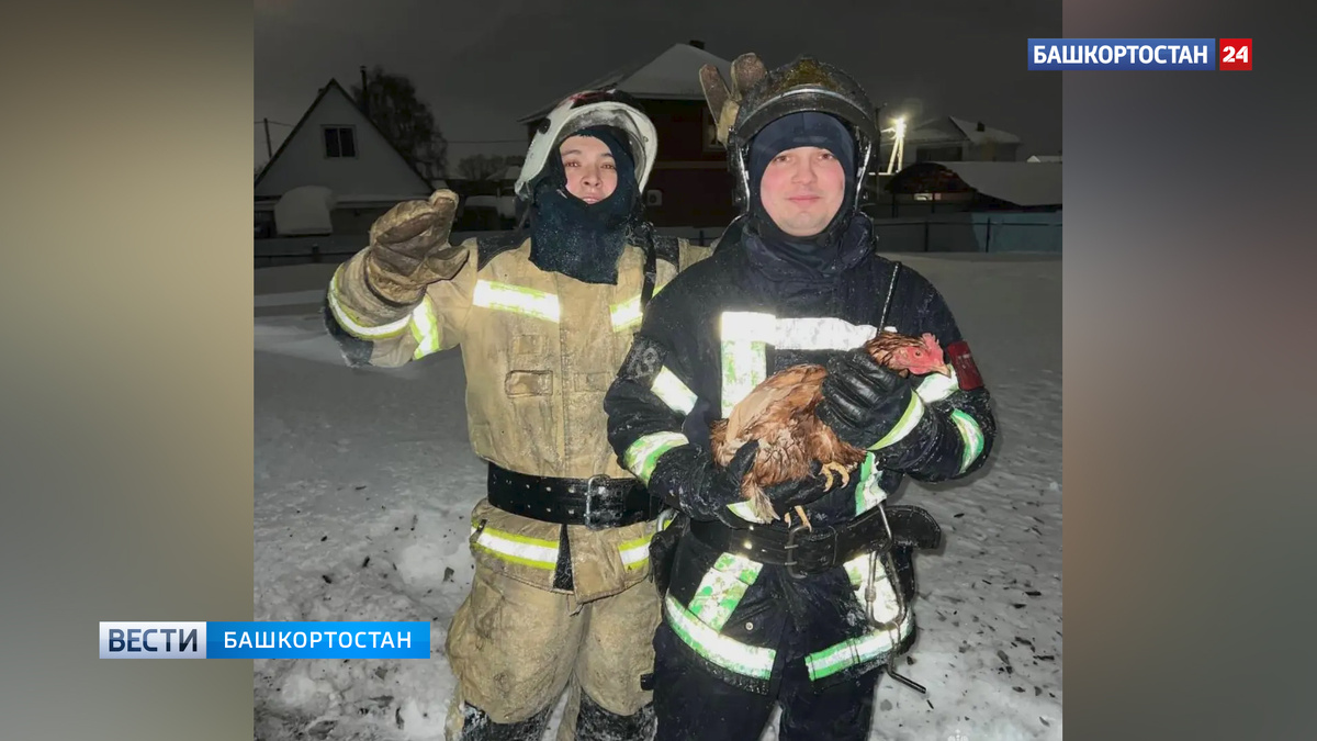    В селе Зубово Уфимского района огнеборцы ликвидировали возгорание и спасли 41 домашнюю птицу