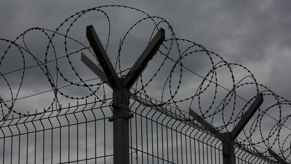    Автор фото: alleks19760526/Shutterstock/FOTODOM