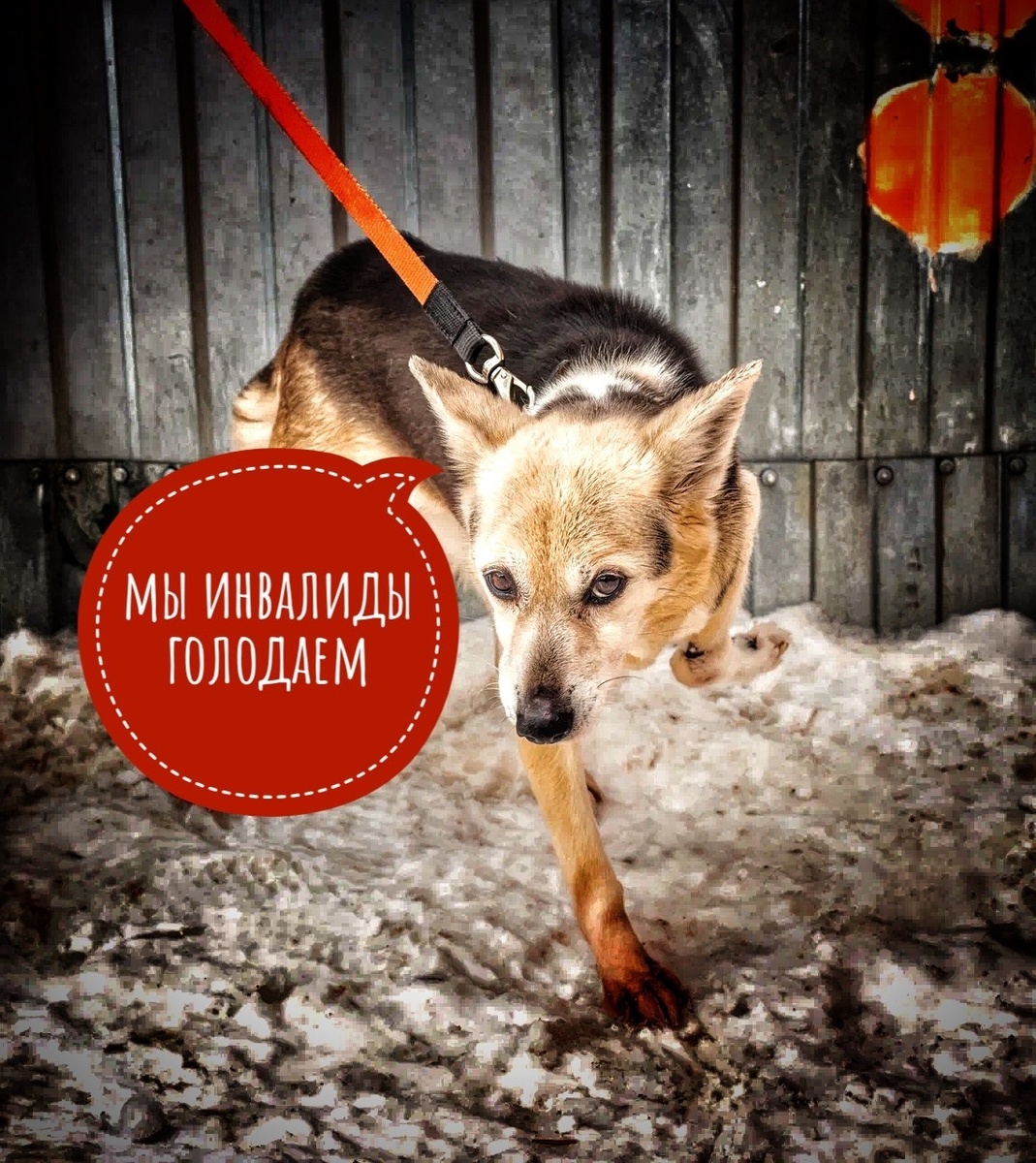 Ночами все еще жуткий холод,  хоспис по уши в инвалидах!