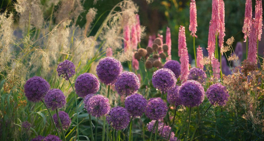    Сгенерировано в нейросети