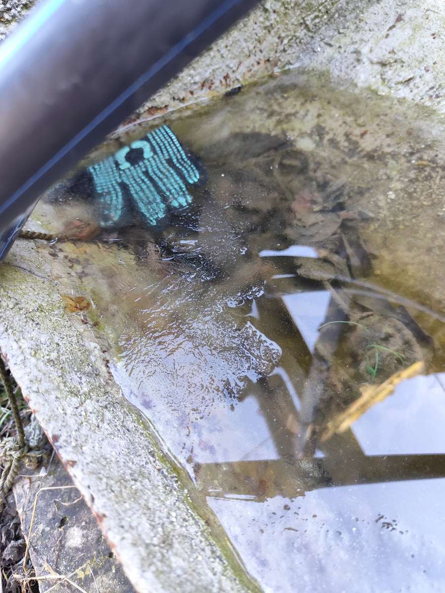 Лёд 1 марта в Крыму. И такое бывает!