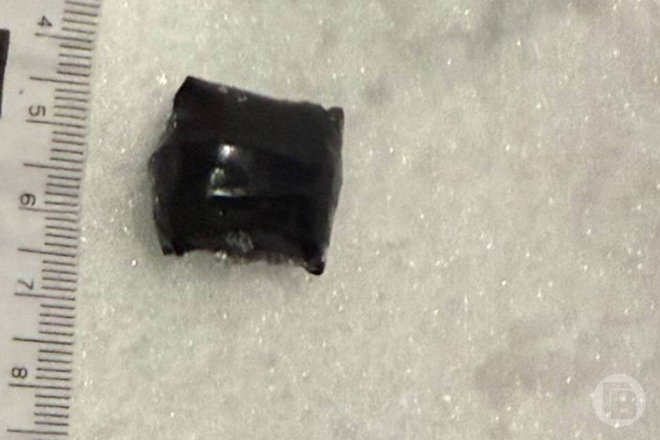    Фото: ГУ МВД по Волгоградской области